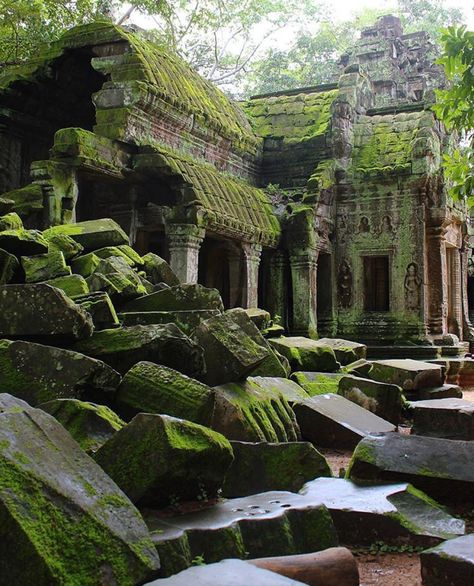 Ta Prohm, Architecture Antique, Angkor Wat Temple, Temple Ruins, Mayan Ruins, Destination Voyage, Ancient Temples, Ancient Architecture, Ancient Ruins