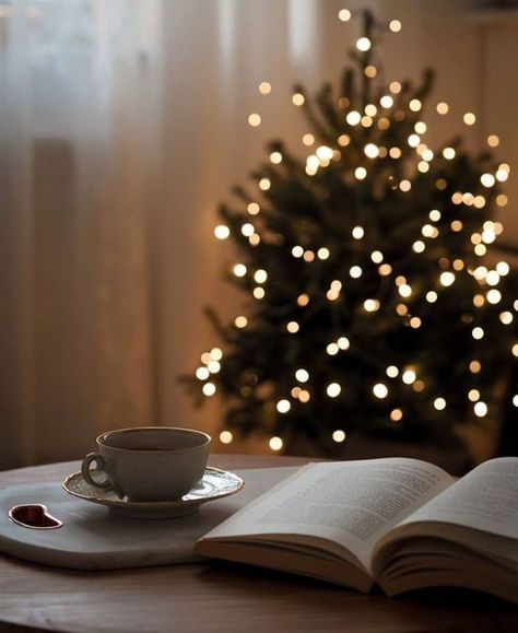 Holiday Romance, Christmas Feeling, Winter Magic, Christmas Wonderland, Christmas Mood, Christmas Books, Christmas Aesthetic, Christmas Morning, Cozy Christmas