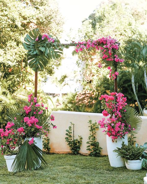 Jungle Wedding Arch Branch Arch Wedding, Simple Wedding Arch, Bougainvillea Wedding, Ceremony Arches, Wedding Chuppah, Wedding Branches, Wedding Arch Rustic, Romantic Wedding Ceremony, Wedding Arches