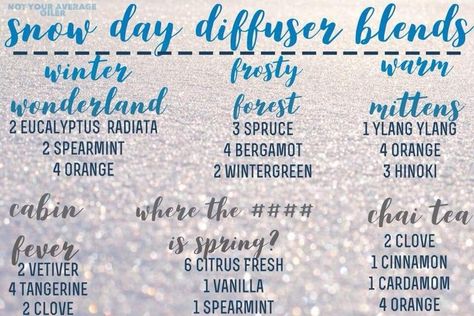 Snow Day diffuser blends Snow Day Essential Oil Blend, Snow Day Diffuser Blend, Car Diffuser Blends, Diffuser Blends Young Living, Diffuser Scents, Scent Blends, Essential Oil Diffuser Blends Recipes, Yl Oils, Essential Oil Diffuser Recipes