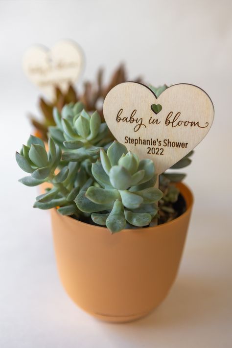 Heart Succulent, Plant Favors, Plant Stick, Plant Sticks, Heart Plant, Bebe Shower, Wedding Plants, Plant Party, Wildflower Baby Shower