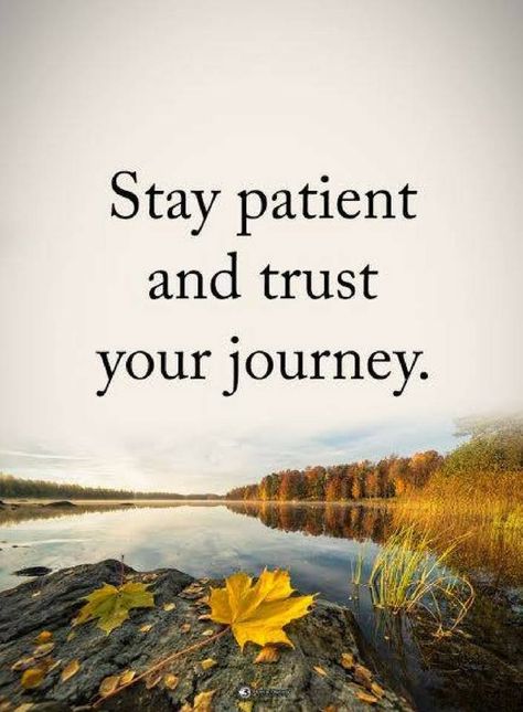 Quotes Stay Patient and trust your journey. Trust Your Journey, Live Quotes, God's Timing, Christian Photos, Happy Wednesday Quotes, Wednesday Quotes, Journey Quotes, Quotes Life, Positive Words