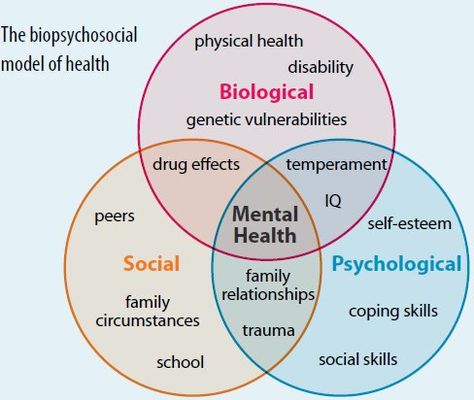 The biopsychosocial model Vita VR blog: http://vitavr.wordpress.com/2013/10/20/the-biopsychosocial-model/ Lmsw Exam, Social Work Theories, Social Work Interventions, Lcsw Exam, Social Work Exam, Social Work Practice, Detox Kur, Clinical Social Work, School Social Work