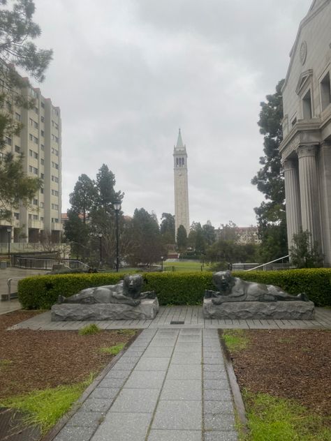 Uc Berkeley Campus, Berkeley University Aesthetic, Uc Berkeley Aesthetic, Berkeley Aesthetic, Berkeley Law, Scientist Aesthetic, Berkeley Campus, Berkeley University, College Visits