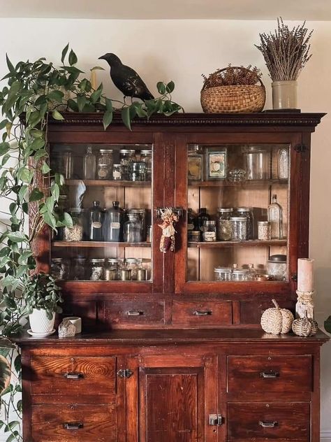 Herbalist Hutch, Goblin Core Kitchen, Witchy Home Decor Witch Cottage, Apothecary Kitchen Decor Ideas, Home Apothecary Room, Witch Cabinets, Witch Pantry, Nature Cabinet, Victorian Basement