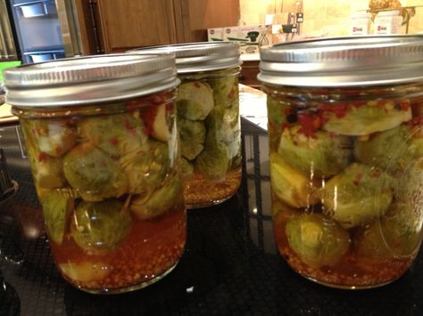 processed up close Pickled Brussel Sprouts, Pickle Board, Fruit Preservation, Pickling Vegetables, Pickled Sausage, Quick Pickle, Pickled Asparagus, Lacto Fermented, Canning Pickles