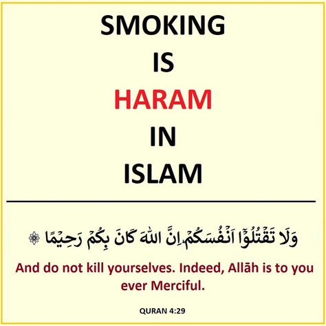 Haram In Islam, Quran In English, Reality Of Life, World Health Organization, After Life, Beautiful Islamic Quotes, Quran Verses, Alhamdulillah, Islamic Quotes