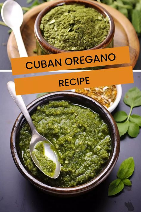 Cuban Oregano Recipe – Hungarian Chef How To Use Cuban Oregano, Cuban Oregano Recipes, Fresh Oregano Recipes, Cuban Oregano, Oregano Recipes, Homemade Dressings, Cuban Cuisine, Cuban Food, Vegan Pesto