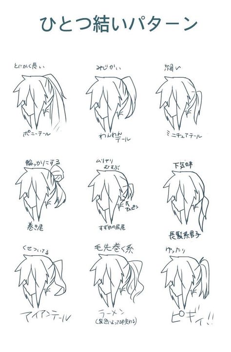 Manga Ponytail, Ponytail Reference, Ponytail Drawing, Drawing Hair Tutorial, Manga Hair, Hair Sketch, Manga Drawing Tutorials, Poses References, Anime Hair