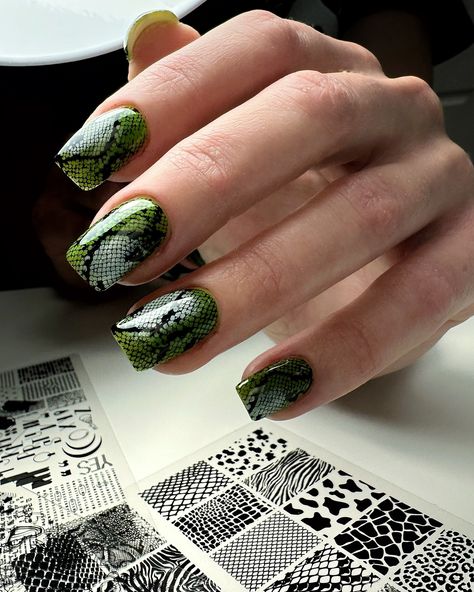 Check out these fierce snake print nails! 🐍💚 Loving the bold, edgy vibe with a touch of wild style. Perfect for making a statement! #NailArt #BoldNails #manicuremagic Snake Print Nails, Wild Nails, Snake Nails, Print Nails, Nail Services, Snake Print, Nail Inspo, Ongles, Manicure