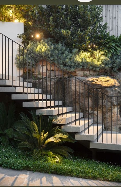 Outdoor Steps With Railing, Metal Stairs Outdoor, Balustrade Exterior, Garden Balustrade, Outside Stairs Design, Metal Balustrade, Stairs Outdoor, Cycas Revoluta, Outside Stairs