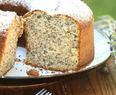 Poppy Seed Recipes, Poppy Seed Cake Recipe, Poppy Cake, Seed Cake, Poppy Seed Cake, Torte Cupcake, Czech Recipes, Just Cakes, Poppy Seed