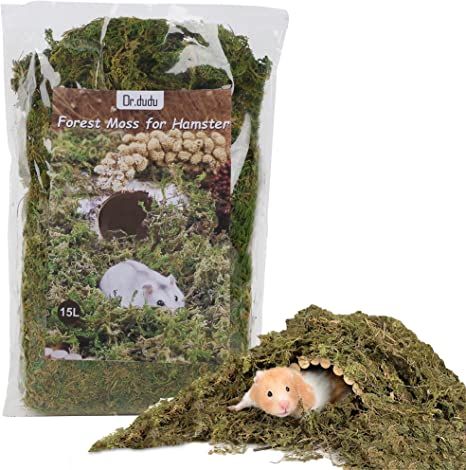 Amazon.com : DR.DUDU 15L Forest Moss for Hamster Bedding Nesting, Syrian Gerbils Hamster Cages Accessories, Perfect for Small Animals Terrarium Moss : Pet Supplies Hamster Terrarium, Syrian Hamster Cages, Terrarium Moss, Hamster Accessories, Hamster Habitat, Hamster Bedding, Forest Moss, Rat Cage, Hamster Cages