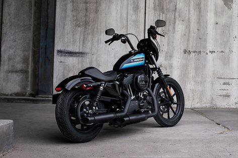 2019 Harley-Davidson Sportster® Iron 1200™ at Javelina Harley-Davidson Iron 1200, Sportster Motorcycle, Harley Davidson Road King, Ducati Cafe Racer, Sportster Iron, Yamaha Bikes, Best Car Insurance, Cafe Racer Build, Scrambler Motorcycle