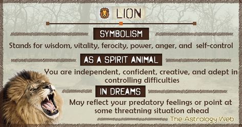 Lion Symbolism Spirit Animal Dream Lioness Spirit Animal, Lioness Spirit Animal Meaning, Lion Totem Spirit Animal, Leo Spirit Animal, Archetype Cards, Lion Meaning, Lion Symbolism, Lion Spirit Animal, Animal Totem Spirit Guides