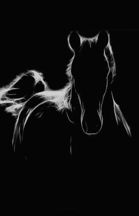 Pin by BEA RUDD on ABOUT LIFE- BLACK OR WHITE , NOTHING BETWEEN (r*) | Horse painting, Horses, Horse drawings Pinto Horse, Black Paper Drawing, Horse Artwork, Black Horses, Foto Tips, Horse Drawings, Equine Art, Horse Photos, Arte Animal