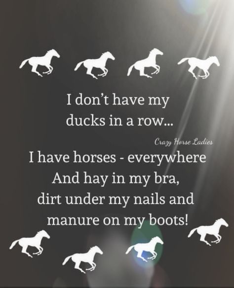 I Ride A Mare Quotes, Mare Horse Quotes, Dog Kinds, Horseback Riding Quotes, Horse Wallpapers, Equine Quotes, Horse Memes, Horse Quotes Funny, Mare Horse