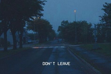 Dont Leave, Don't Leave, Both Sides, We Heart It, Trees, Lost, Quotes