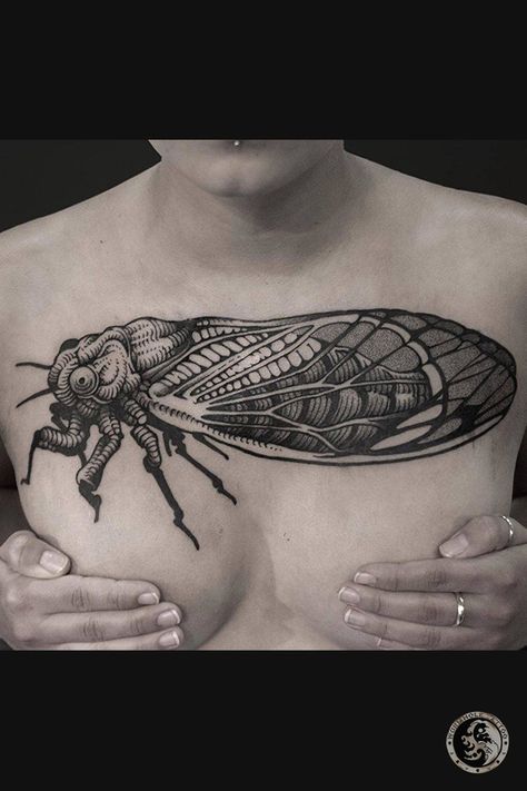 Cicada Tattoo, Image Tattoo, British Tattoo, Ink Master Tattoos, Woodcut Tattoo, Engraving Tattoo, Fire Tattoo, Full Body Tattoo, Tattoo Shows