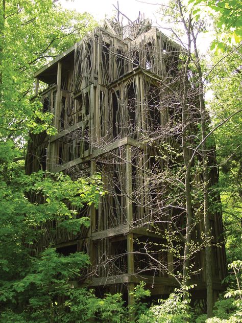 Cayuga Nature Center Cubic Architecture, Ithaca New York, Cayuga Lake, Lake George Village, Summer Vacation Spots, Ithaca Ny, Fun Winter Activities, Forest Canopy, Outdoor Education