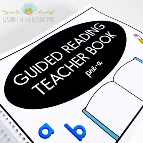 What does a Pre-A guided reading lesson look like? - Learning at the Primary Pond Fish Alphabet, Small Group Activity, Kindergarten Blogs, Substitute Binder, Guided Reading Kindergarten, Guided Reading Lessons, Reading Tutoring, Teacher Book, First Grade Sight Words