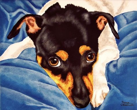 Blue Velvet Bliss - Rat Terrier by Tanya Amberson, painting by artist Tanya & Craig Amberson Rat Terrier Art Paintings, Rat Terrier Art, Jack Chi, Jack Terrier, Rat Terrier Dogs, Rat Terrier, Rat Terriers, Dog Items, Watercolor Dog