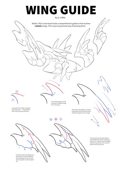 GTEsEY6XYAAlQZS (2718×3732) Dynamic Wing Poses, How To Draw Bird Eyes, Bat Wings Folded, Flying Reference Pose Wings, Bird Anatomy Reference, Deer Eyes Drawing, Closed Wings Drawing, How To Draw A Pelican, Feather Ears Drawing