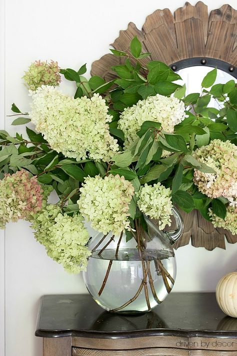 Backyard Hydrangeas, Cozy Fall Home, Hydrangea Vase, Indoor Lanterns, Fall Hydrangea, Limelight Hydrangea, Driven By Decor, Hydrangea Arrangements, Fall Flower Arrangements