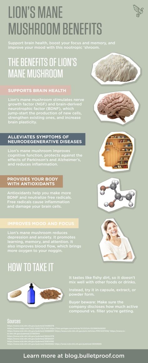 Benefits of lion's mane infographic Mushroom Benefits, Tomato Nutrition, Calendula Benefits, Lions Mane, Lions Mane Mushroom, Lemon Benefits, Stomach Ulcers, Coconut Health Benefits, Lion's Mane