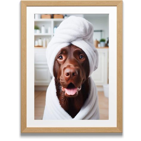 Towel On Head, Shower Pics, Chocolate Labrador Retriever, Chocolate Labrador, Dog Bath, Chocolate Lab, Bathroom Towel, Bathroom Humor, Bath Shower