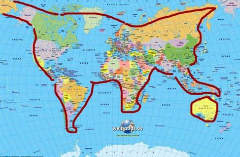 Cat World Map Image Chat, Like A Cat, Cat Playing, Crazy Cat Lady, Crazy Cats, The Words, Funny Cute, Cat Memes, A Cat