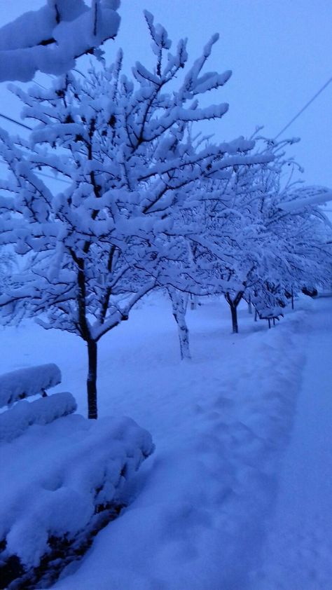 Cold Blue Wallpaper, Deep Winter Aesthetic, Blue Hour Winter, Blue Winter Wallpaper, Blue Hour Photography, Iphone Wallpaper Landscape, Winter Blue, Scenery Pictures, Blue Winter