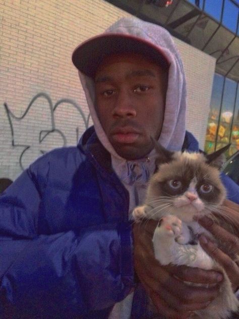 #tylerthecreator Tyler The Creator Odd Future, Tyler The Creator Wallpaper, Odd Future, Tyler The Creator, Grumpy Cat, The Creator, Wall, Pins