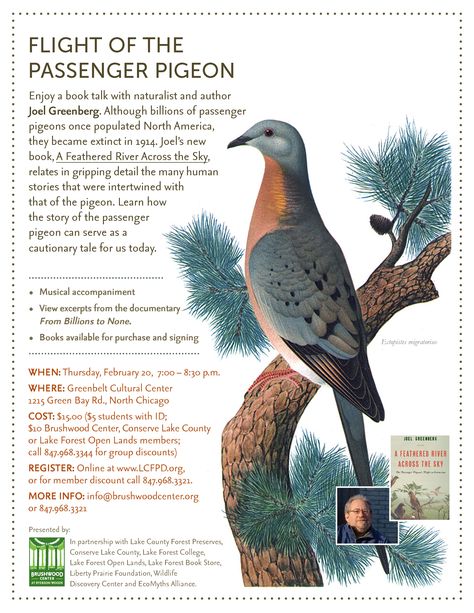 Passenger Pigeon Poster Passenger Pigeon Extinct, Passenger Pigeon, Art Program, The Pigeon, Diary Journal, West Art, Book Talk, Art Diary, Prehistoric Animals