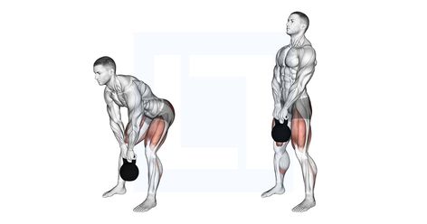 Deadlift Muscles Worked, Deadlift Benefits, Suitcase Deadlift, Straight Leg Deadlift, Deadlift Form, Deadlift Variations, Kettlebell Clean, Glute Workouts, Kettlebell Workouts