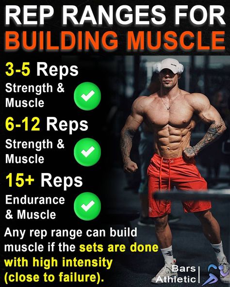 Rep Ranges, Weight Lifting Tips, Gym Guide, Gym Interior, Workout Tips, Wallpaper Images, Gym Workout Tips, Body Workout, Build Muscle