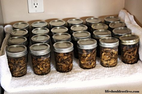 Canning Mushrooms, Tips and Tricks How To Can Fresh Mushrooms, Canning Mushrooms Pressure, How To Can Mushrooms, Canning Mushrooms Recipes, Camping Cooking Ideas, Canning Mushrooms, Canning Sausage, Travel Food Ideas, Mushroom Spaghetti Sauce