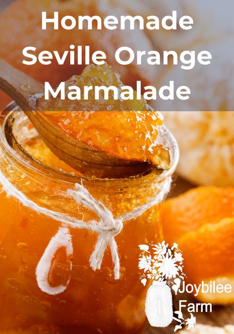 Bitter Orange Marmalade, Orange Marmalade Recipe, Seville Orange Marmalade, Seville Orange, Orange Jam, Marmalade Recipe, Ginger Drink, Orange Marmalade, Candied Ginger