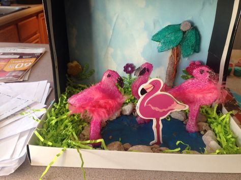 Flamingo habitat Flamingo Habitat Diorama, Flamingo Diaroma, Flamingo Habitat Project, Flamingo Habitat, Habitat Diorama, Flamingo Projects, Diorama Project, Animal Adventures, Shoe Box Crafts