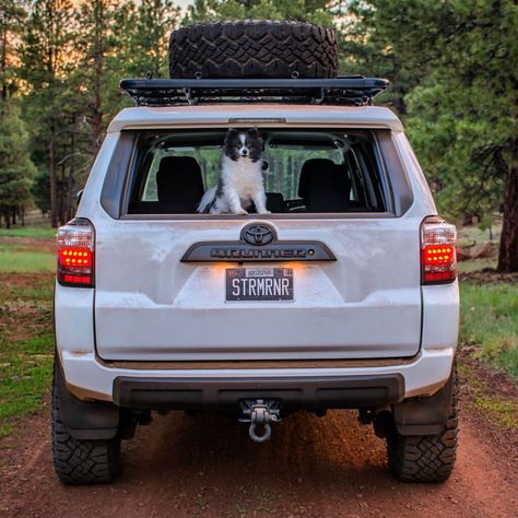 Four Runner Aesthetic, Forerunner Toyota, Four Runner Toyota, 4 Runner Aesthetic, Green 4runner, 2006 4runner, 4runner Camping, Toyota 4runner Interior, 4 Runner Toyota