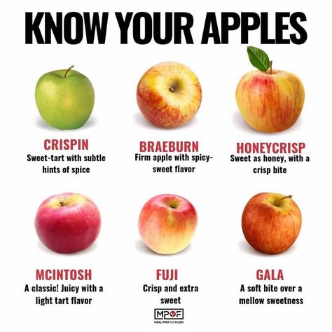 Follow me @mediumsmoothies 🌴🍏 ・・・ 🌈 Like we always say, an apple a day keeps the doctor away 🤓⠀ ---⠀ There's nothing quite like an apple that's sweet, crisp, tart, and juicy. Apples are the epitome of American culture, just like baseball and, well, apple pie🥧. Apples are delicious whether you eat them right off the tree or turn them into a delicious dessert. ⠀ ⠀ While there are thousands of different types of apples in the world, we've rounded up 6 that represent the diversity found in toda Super Foods List, Meal Prep On Fleek, Food Vocabulary, Creamy Garlic Chicken, Healthy Facts, Food Health Benefits, An Apple A Day, Apple A Day, Apple A