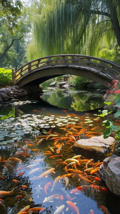 Large Pond Landscaping, Japanese Plants, Aesthetic Lake, Tranquil Garden, Stone Plant, Zen Garden Design, Floating Garden, Pond Water Features, Pond Landscaping