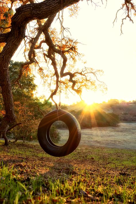 Tire Swing Peter Adams, Tire Swings, Country Photography, Backyard Swings, Future Of Work, Front Porch Signs, Country Kids, Vintage Farm, Photo Wall Collage