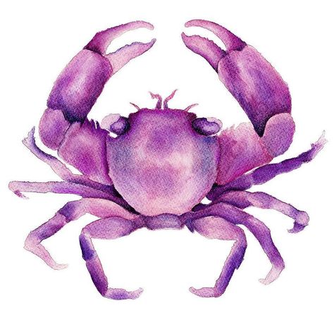 Today's the day! Pop down to the #Bayside & #Peninsula Design Market tonight between 6 and 9 pm. It's at the #frankstonartscenter This little #pink #crab will be there along with a selection of framed #artprints and original #abstractpaintings my #artpanels and some #barnacleclusters too. See you there! @mermaidsorority #morningtonpeninsula #melbourne #melbourneart #melbournemarkets #designmarket #weekend #fridaynight  #australianart #frankston #madeinmelbourne #supportlocal #kreoloveslocal #liv Crab Watercolor, Crab Art, Beach House Art, 11x14 Print, House Art, Watercolour Art, Art Beach, Magenta Pink, Limited Edition Art Print