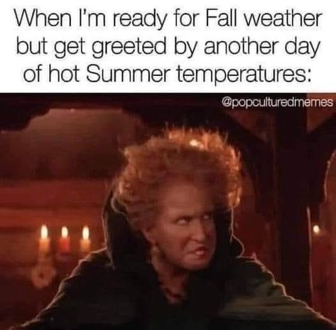 October Memes, Fall Humor, Fall Memes, Halloween Memes, Ready For Fall, Rainy Weather, Funniest Memes, Fall Weather, Fall Fun