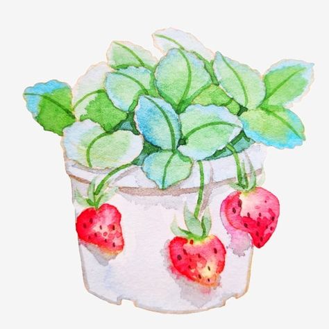 Strawberry Pots, Strawberry Plants, Potted Plants, Mario Characters, Photoshop, Plants, Art