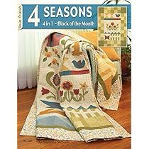 Queen Bed Quilts, Month Design, Bed Quilts, Lap Quilts, Monthly Themes, Sampler Quilt, Block Of The Month, The Four Seasons, Small Quilts