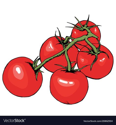 Tomatoes Drawing, Tomato Drawing, Recipe Drawing, Green Wallpaper, Food Illustrations, Tomatoes, Art Drawings, I Hope, Drawings