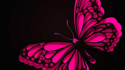 HD Wallpaper Pink Butterfly - Best Wallpaper HD Butterfly Screen Saver, Pink Butterfly Wallpaper, Pink Mobile, Beautiful Butterfly Pictures, Butterfly Wallpaper Backgrounds, Butterfly Background, Bling Wallpaper, Butterfly Wallpaper Iphone, Animal Print Wallpaper