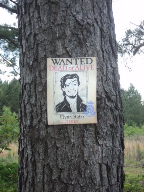 Flynn Rider wanted Poster Flynn Rider Wanted Poster, Flynn Rider Wanted, Shrek Birthday, Tangled Movie, Tangled Birthday Party, Birthday Sleepover, Tangled Birthday, Wanted Poster, Flynn Rider